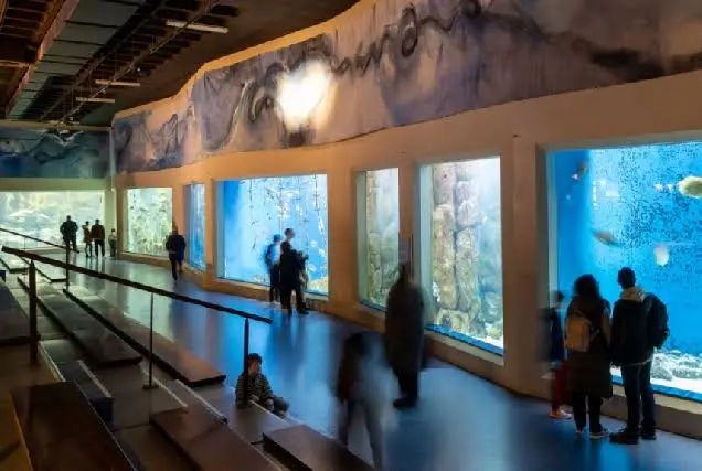 Aquarium Finisterrae