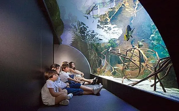 Aquarium de San Sebastián
