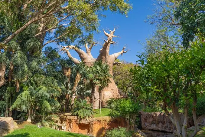 Bioparc Fuengirola