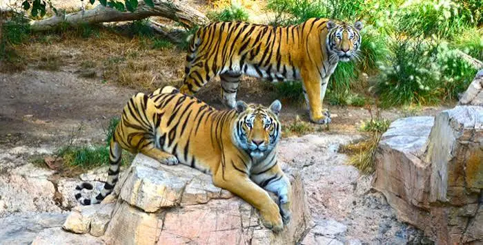 Terra Natura Benidorm