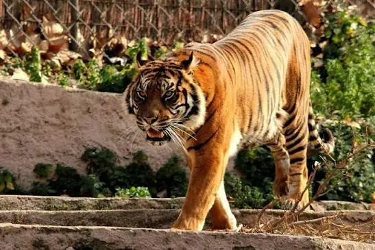 Zoo de Barcelona