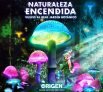 Entradas para el espectáculo Naturaleza Encendida Origen