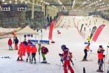 Forfait de 2 horas para 1 o 2 personas con o sin equipo en SnowZone