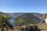 Excursión por Ribeira Sacra Desde Lugo