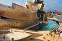 Tour privado: Museo Guggenheim Bilbao